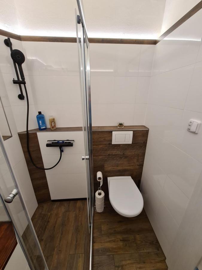 Apartmán Světlý prostorný byt v Karlíně Praha Exteriér fotografie