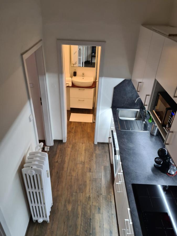 Apartmán Světlý prostorný byt v Karlíně Praha Exteriér fotografie