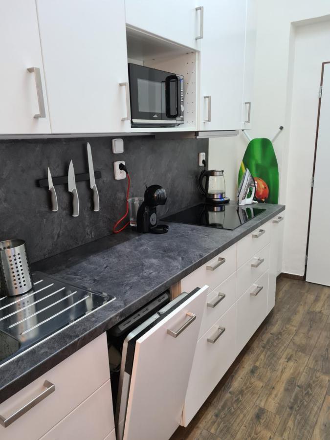 Apartmán Světlý prostorný byt v Karlíně Praha Exteriér fotografie